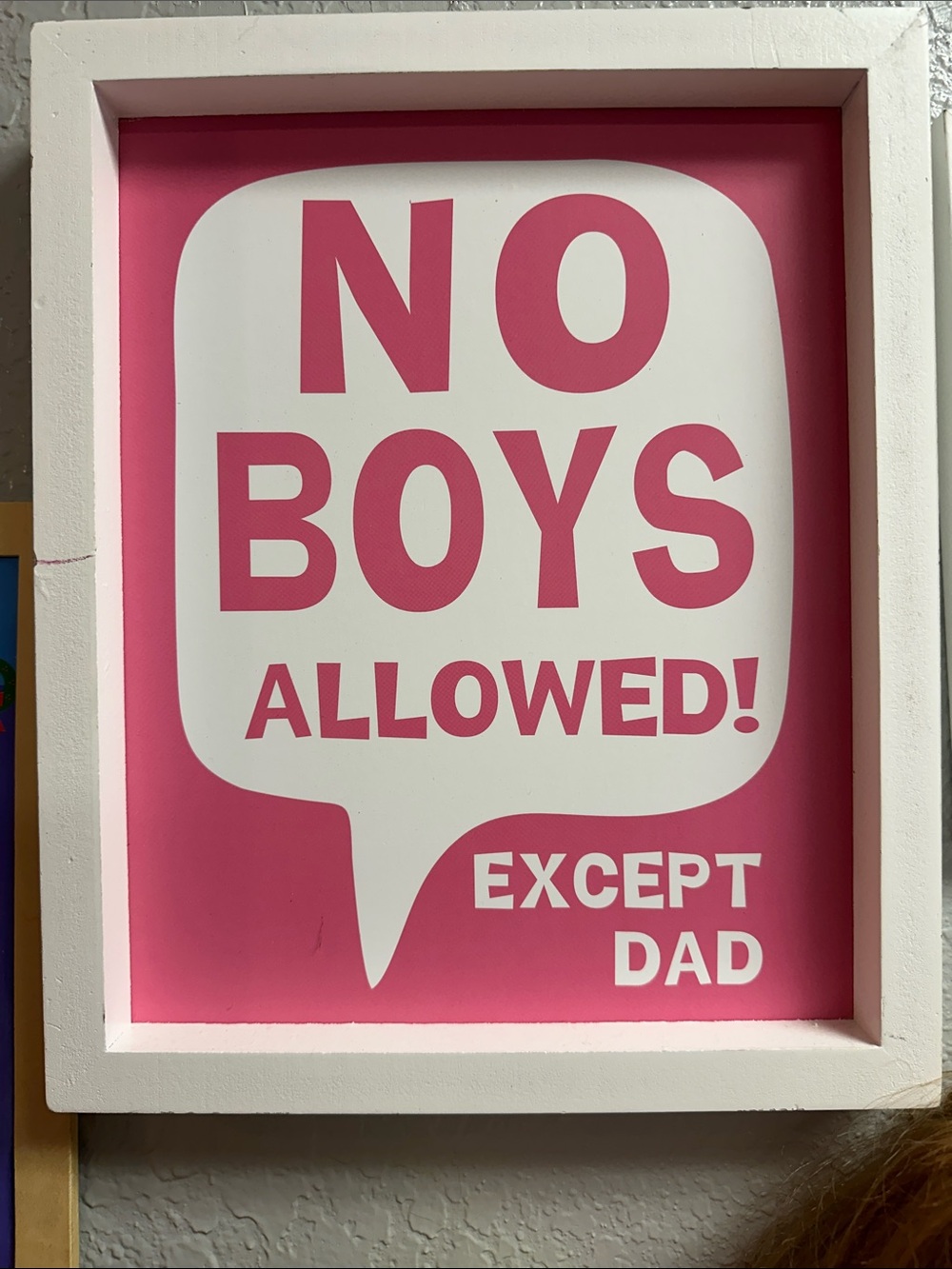 No Boys Allowed Wall Art - Pink